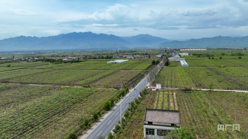 鄉(xiāng)路上，感受脈動(dòng)中國(guó)——美麗鄉(xiāng)路服務(wù)提質(zhì)，地標(biāo)鮮果助力振興